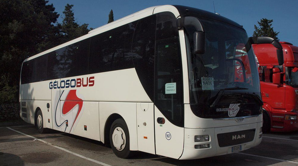 Bus
