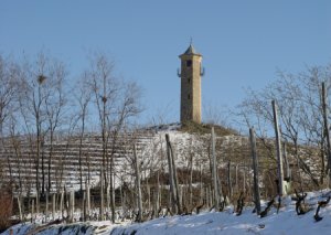 Canelli_torre_dei_Contini_invernale_p