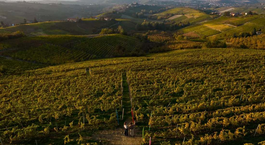 Langa del Moscato.e4f49236