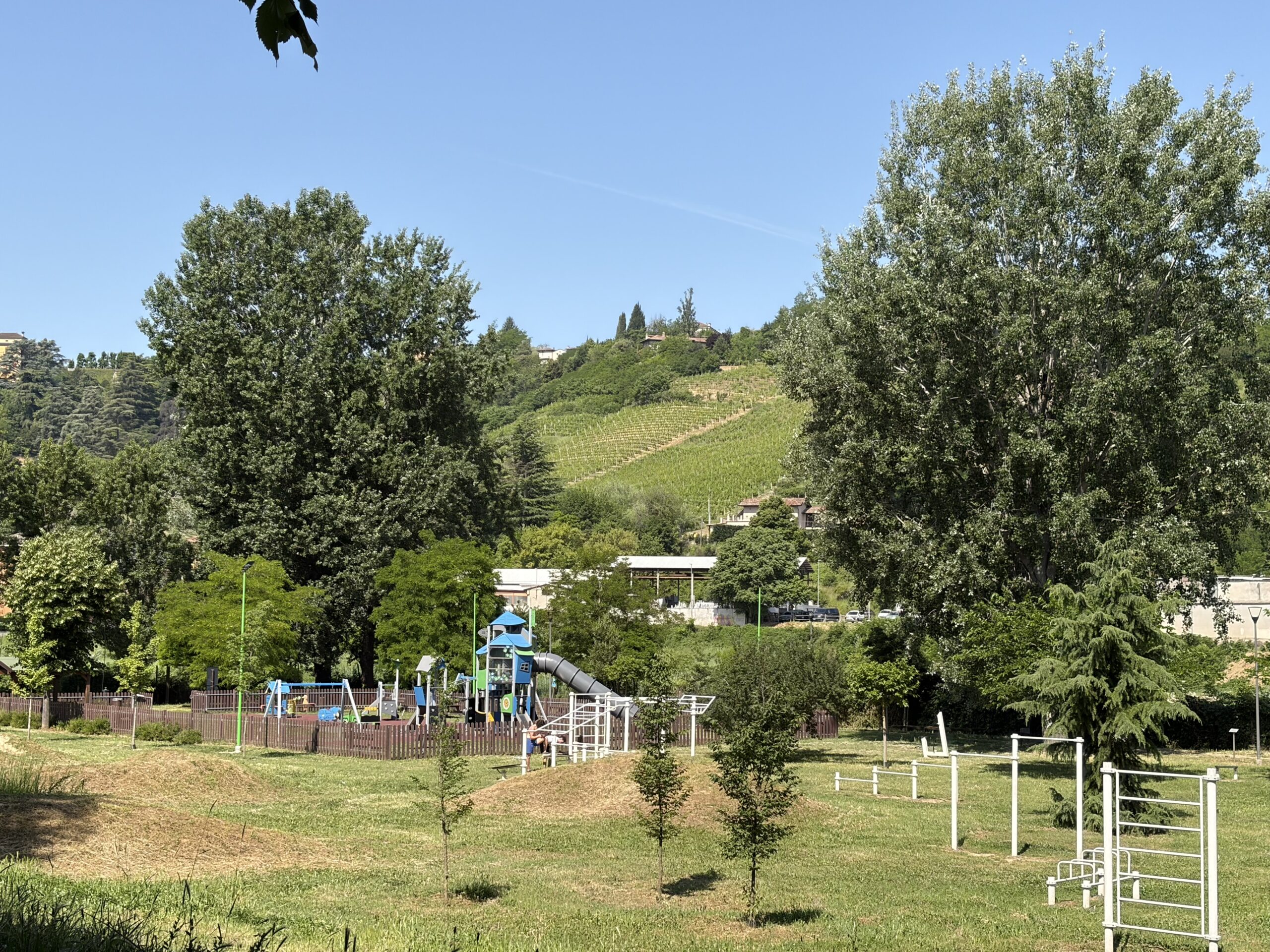 IMG_0462